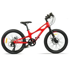 Велосипед RoyalBaby SPACE SHUTTLE 20", OFFICIAL UA, красный